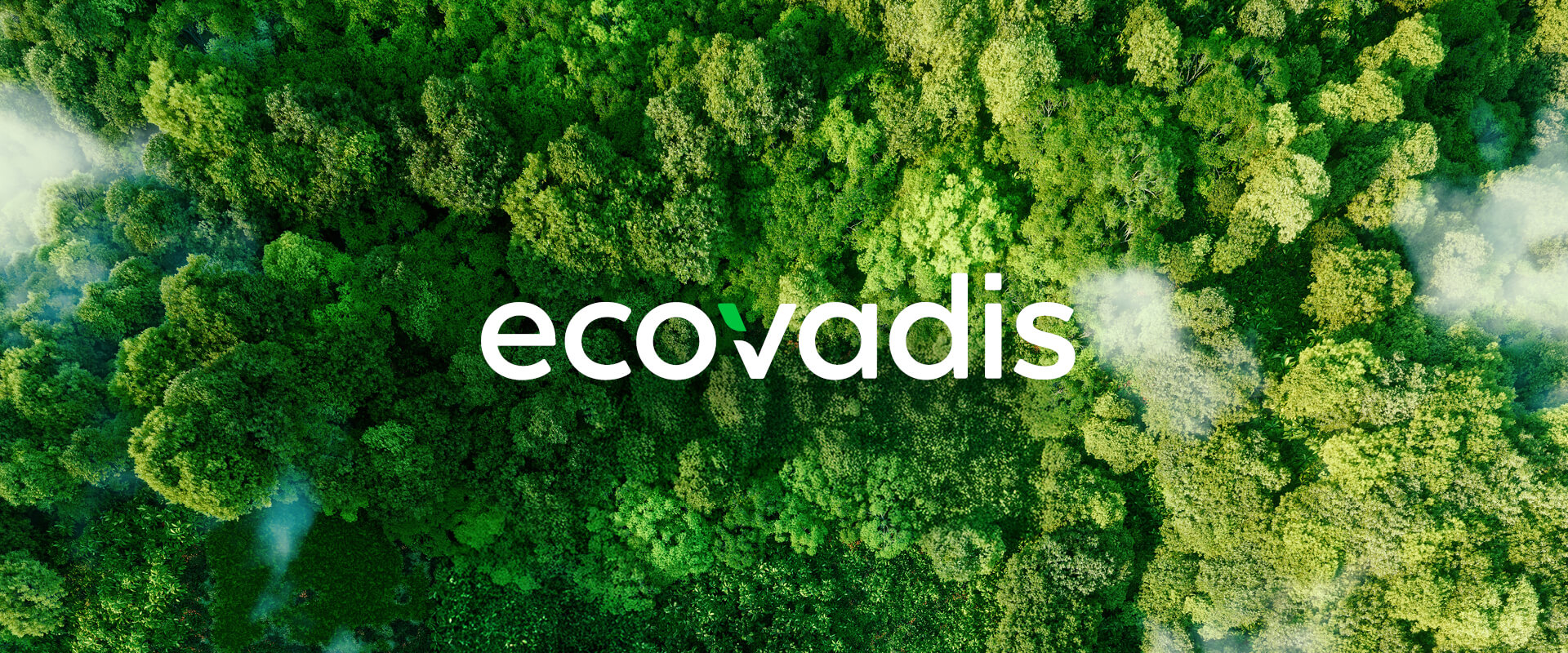 Ecovadis (1)